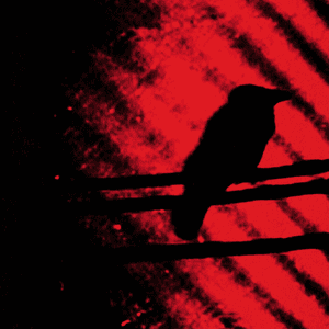 Born Into Trouble as the Sparks Fly Upward